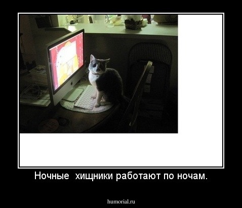 Ночные  хищники работают по ночам.