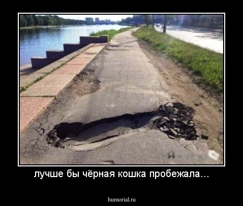 лучше бы чёрная кошка пробежала...