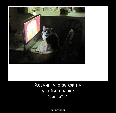 Хозяин, что за фигня у тебя в папке  "киски" ? 