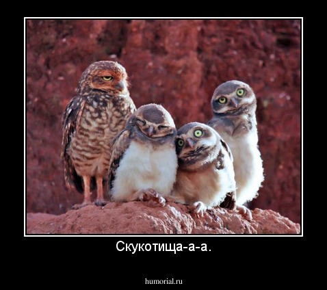 Скукотища-а-а.