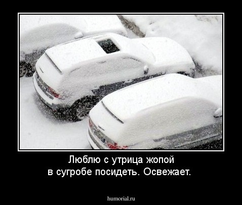 Люблю с утрица жопой в сугробе посидеть. Освежает.