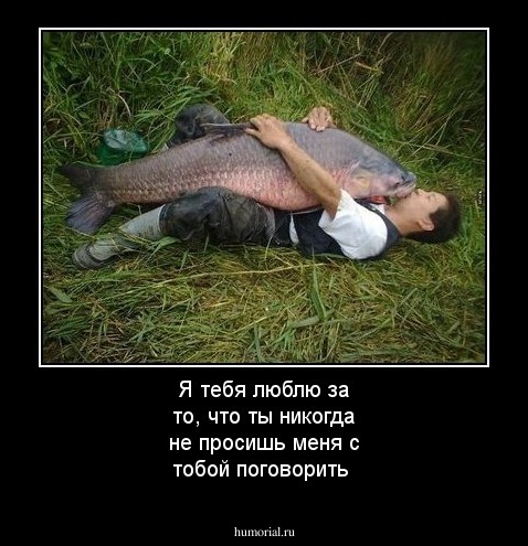 Я тебя люблю за то, что ты никогда не просишь меня с тобой поговорить