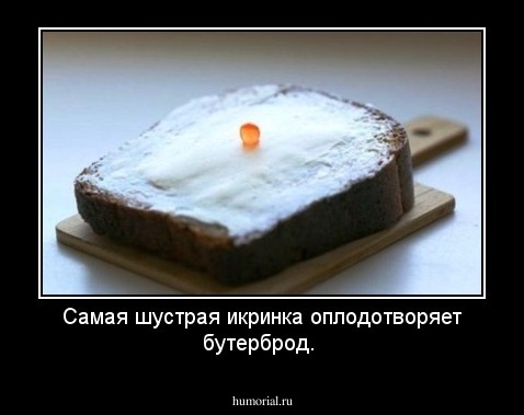 Самая шустрая икринка оплодотворяет бутерброд.