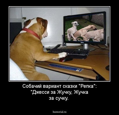 Собачий вариант сказки "Репка": "Джесси за Жучку, Жучка за сучку.