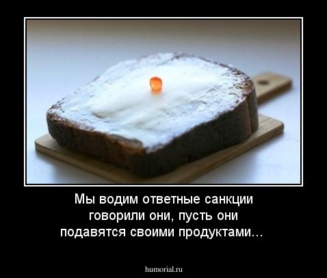 Мы водим ответные санкции говорили они, пусть они подавятся своими продуктами...