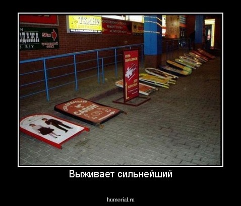Выживает сильнейший