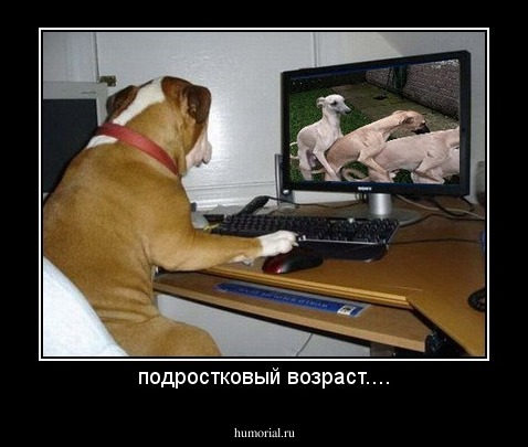 подростковый возраст....