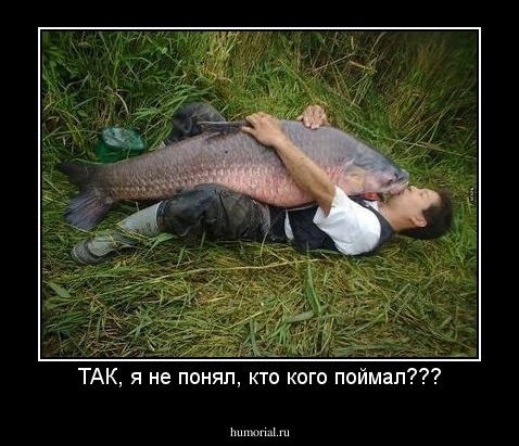 ТАК, я не понял, кто кого поймал???