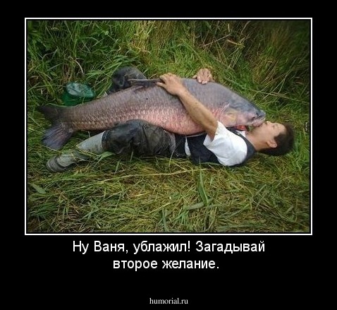 Ну Ваня, ублажил! Загадывай второе желание.