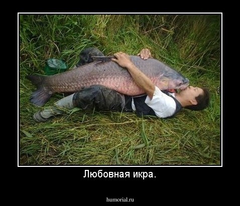 Любовная икра.