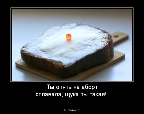 Ты опять  на аборт сплавала, щука ты такая!