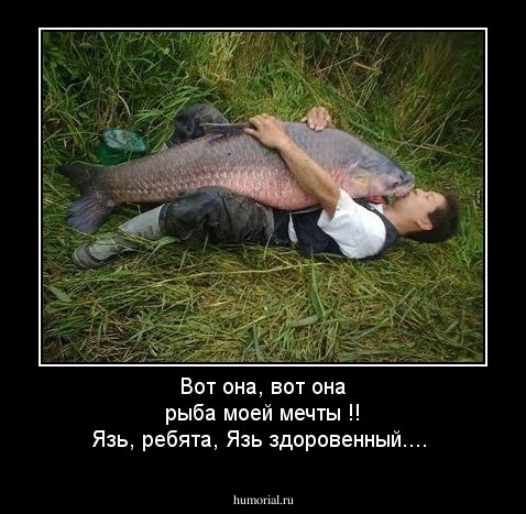Вот она, вот она рыба моей мечты !! Язь, ребята,  Язь здоровенный....