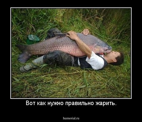 Вот как нужно правильно жарить.
