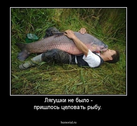 Лягушки не было - пришлось целовать рыбу.