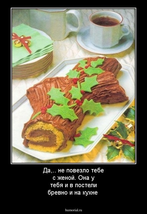 Да,.. не повезло тебе с женой. Она у тебя и в постели бревно и на кухне