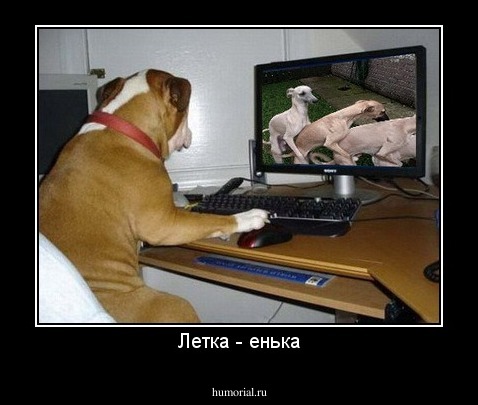 Летка - енька