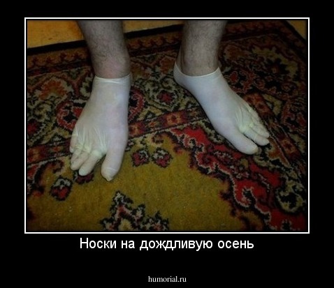 Носки на дождливую осень