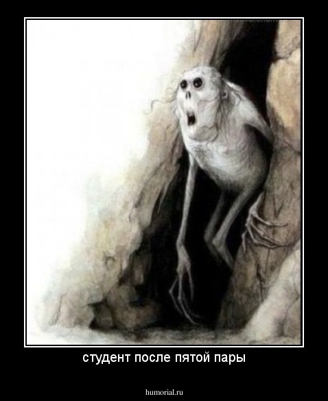 студент после пятой пары