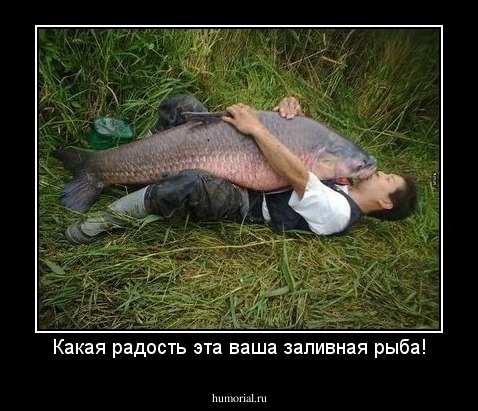 Какая радость эта ваша заливная рыба!