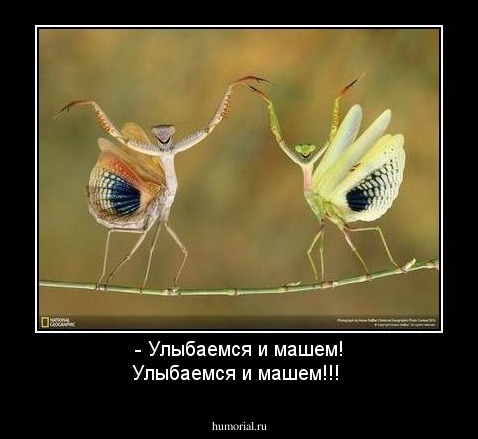 - Улыбаемся и машем! Улыбаемся и машем!!!