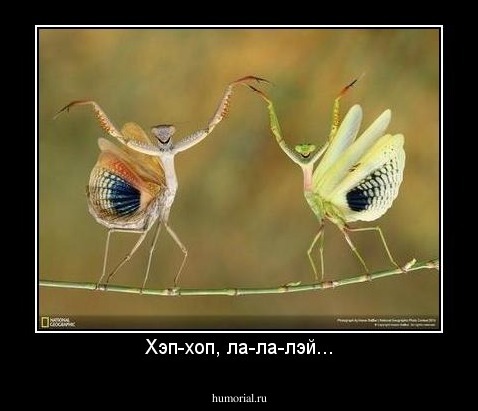 Хэп-хоп, ла-ла-лэй...