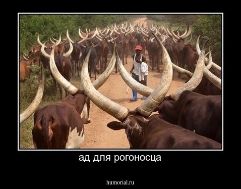 ад для рогоносца