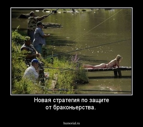 Новая стратегия по защите от браконьерства.