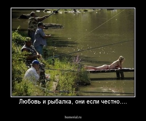 Любовь и рыбалка, они если честно....