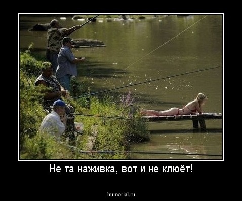 Не та наживка, вот и не клюёт!