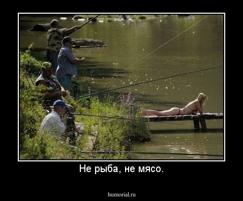 Не рыба, не мясо.