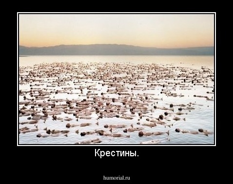 Крестины.