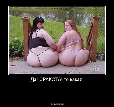 Да! СРАКОТА! то какая!

