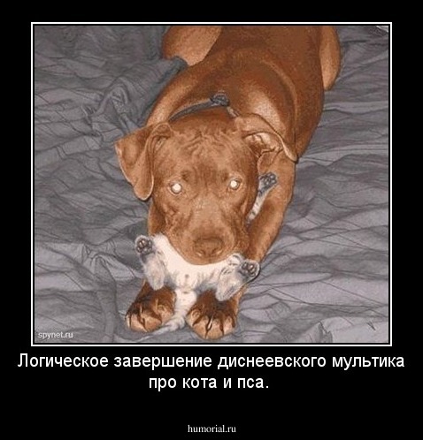 Логическое завершение диснеевского мультика про кота и пса.
