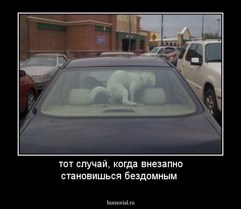 тот случай, когда внезапно становишься бездомным