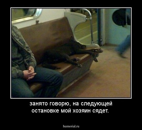 занято говорю, на следующей остановке мой хозяин сядет.