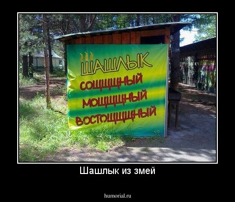 Шашлык из змей