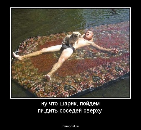 ну что шарик, пойдем пи.дить соседей сверху 