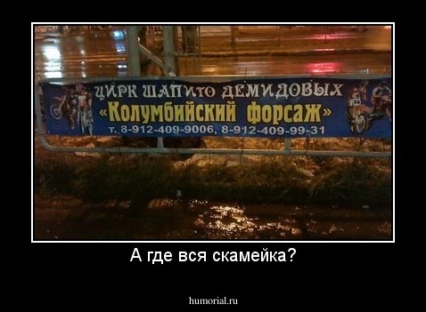 А где вся скамейка?