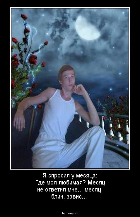 Я спросил у месяца: Где моя любимая? Месяц не ответил мне... месяц, блин, завис... 