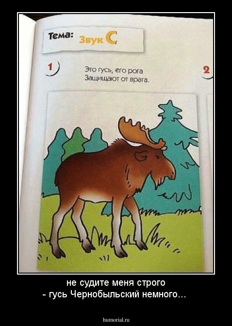 не судите меня строго - гусь Чернобыльский немного...