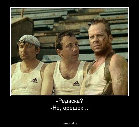 -Редиска?
-Не, орешек...