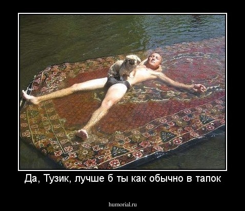 Да, Тузик, лучше б ты как обычно в тапок