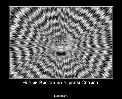 Новый Вискас со вкусом Спайса.