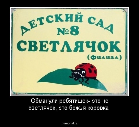 Обманули ребятишек- это не светлячёк, это божья коровка