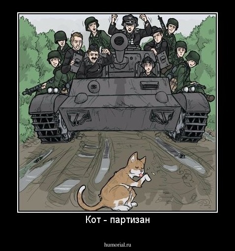 Кот - партизан