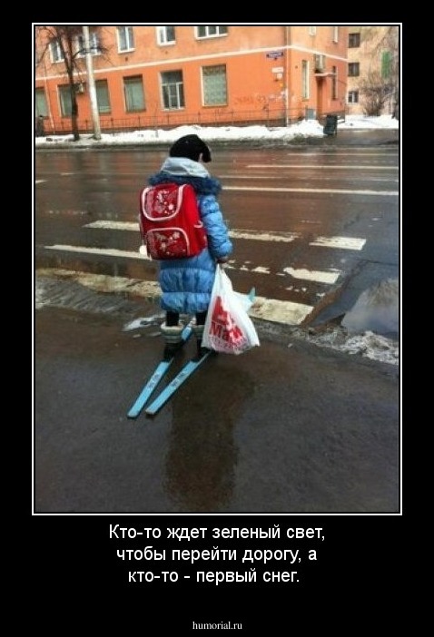 Кто-то ждет зеленый свет, чтобы перейти дорогу, а кто-то - первый снег.