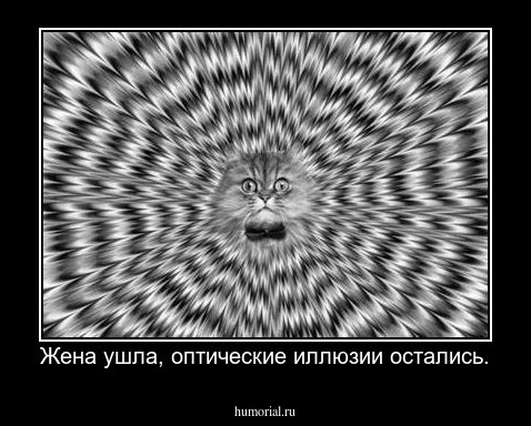 Жена ушла, оптические иллюзии остались.