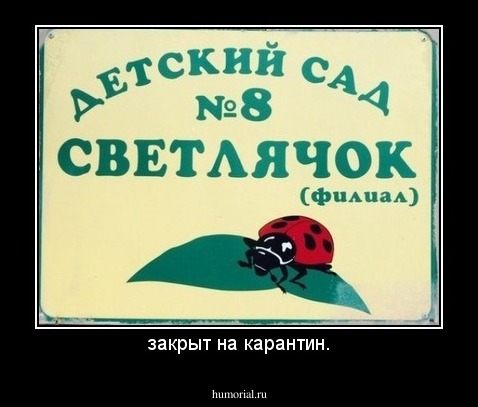 закрыт на карантин.