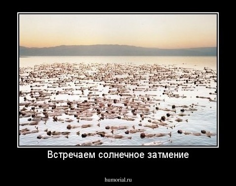 Встречаем солнечное затмение