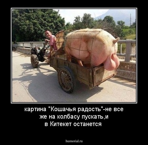 картина "Кошачья радость"-не все же на колбасу пускать,и в Китекет останется